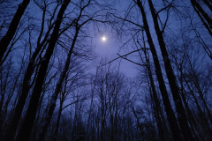 Early Moon Over Big Bay Trails (Feb 2025)