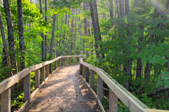 Boardwalk-View-Toward-Burns-Cabin