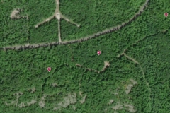 9-Sweet-Pine-Map-Satellite
